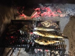Sea food